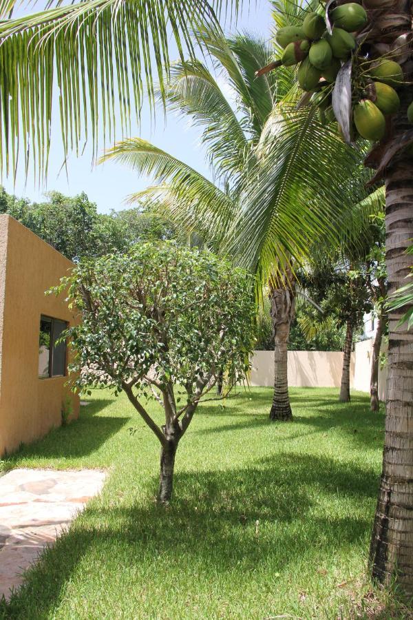 Myoli Wellness & Happiness Bnb Playa del Carmen Luaran gambar