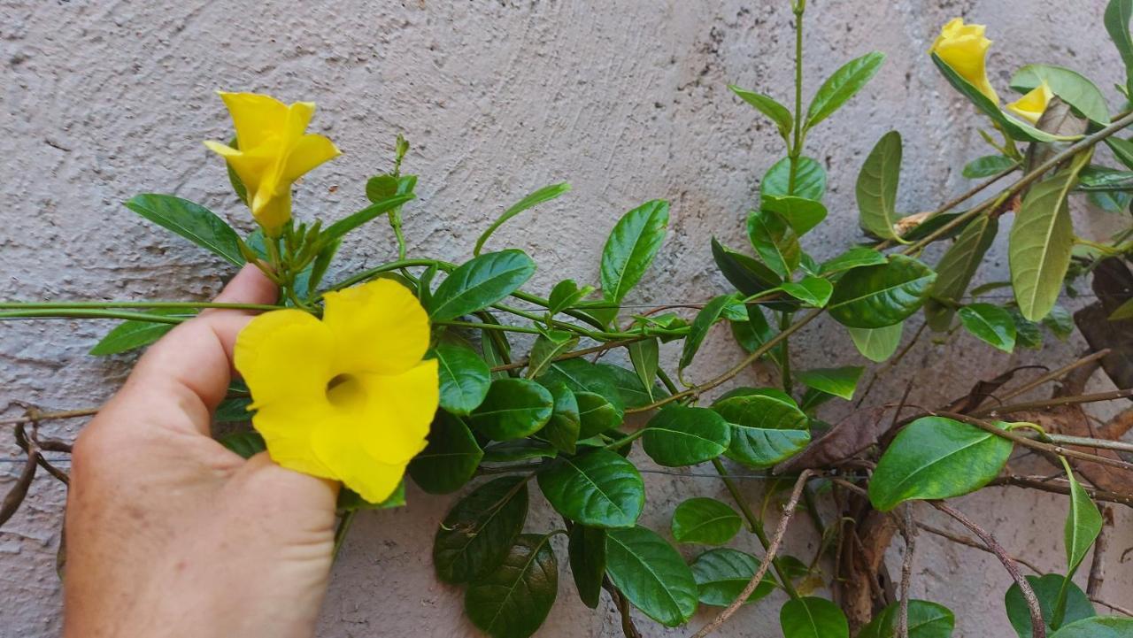 Myoli Wellness & Happiness Bnb Playa del Carmen Luaran gambar