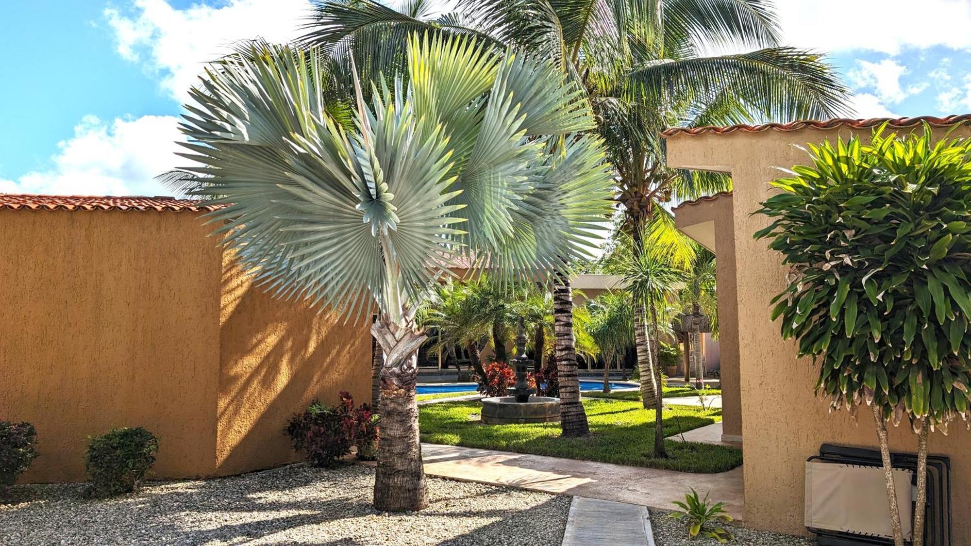 Myoli Wellness & Happiness Bnb Playa del Carmen Luaran gambar
